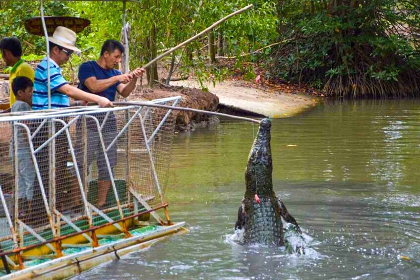 Picture 8 for Activity From Ho Chi Minh: Can Gio Mangrove Forest & Monkey Islands