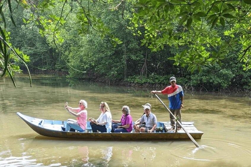 Picture 2 for Activity From Ho Chi Minh: Can Gio Mangrove Forest & Monkey Islands