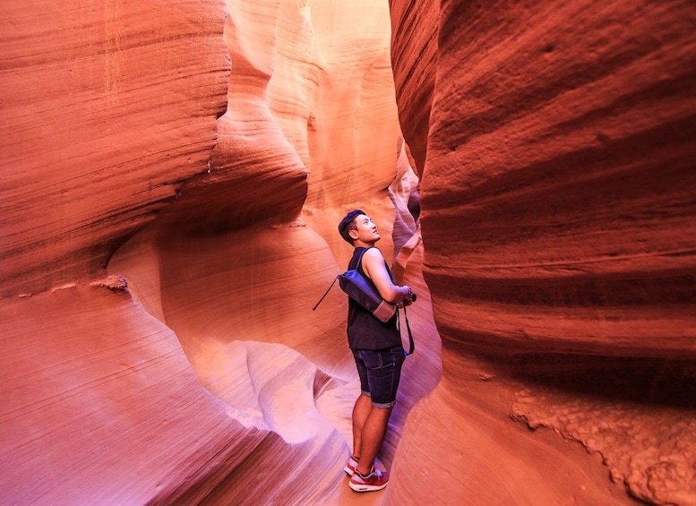 Picture 2 for Activity Las Vegas: Antelope Canyon & Horseshoe Bend Tour