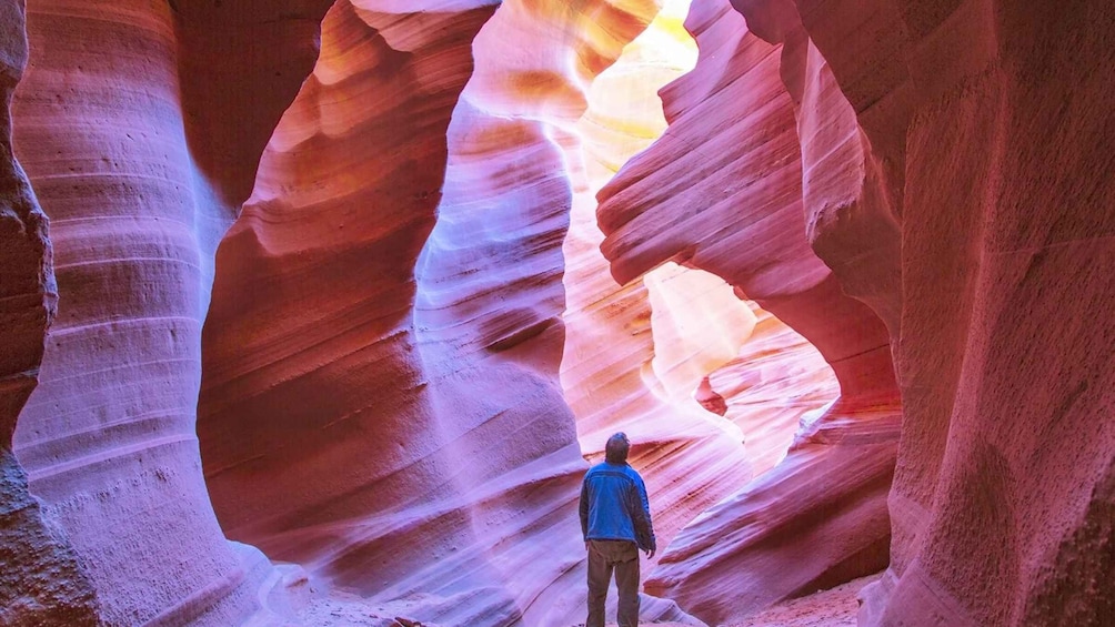 Picture 1 for Activity Las Vegas: Antelope Canyon & Horseshoe Bend Tour