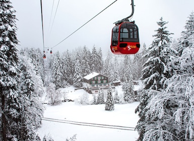 Pilatus & Lucerne with Cruise Private Day Trip