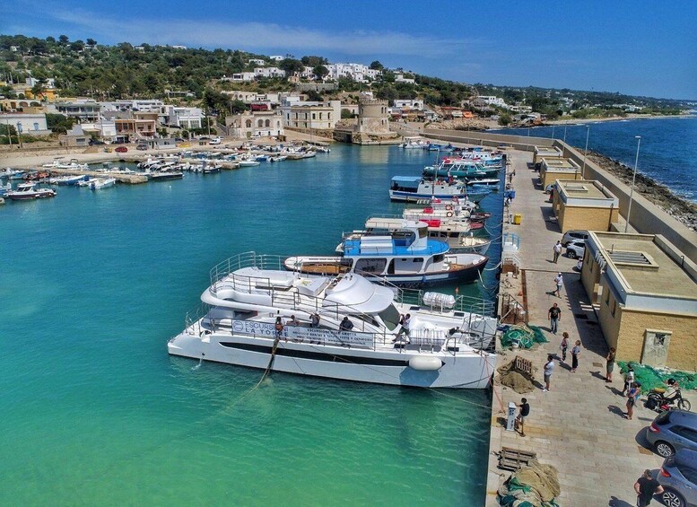 Picture 3 for Activity From Torre Vado: Catamaran Excursion To the Heel of Italy