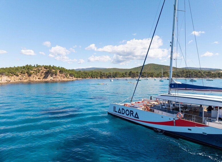 Hyères : Dreamy Morning Catamaran
