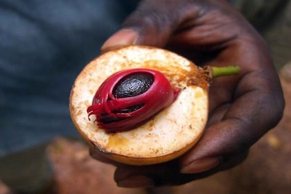 Zanzibar: Walking Spice Farm with Local Cooking Class