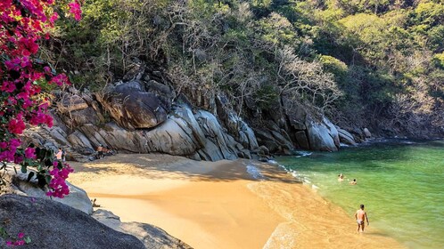 Jungle and Exotic Beaches: Hiking in Puerto Vallarta