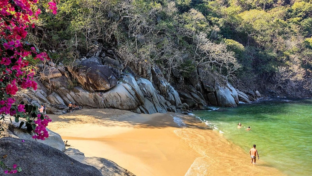 Coastal Gems Expedition with a Certified Tour Guide