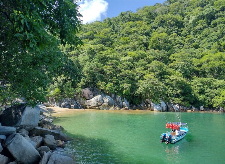 Picture 4 for Activity Jungle and Exotic Beaches: Hiking in Puerto Vallarta