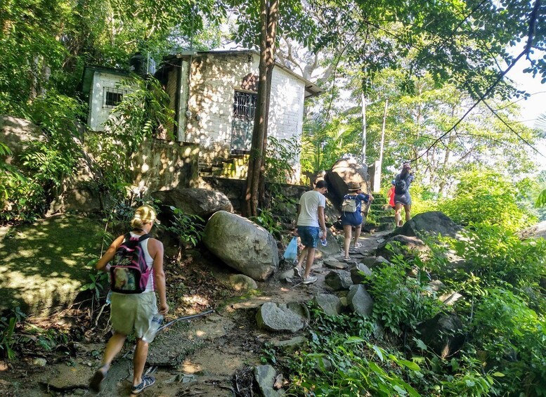 Picture 2 for Activity Jungle and Exotic Beaches: Hiking in Puerto Vallarta