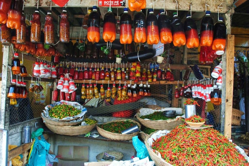 Salvador: Anthropological City Tour with Lunch IN 6 HOURS