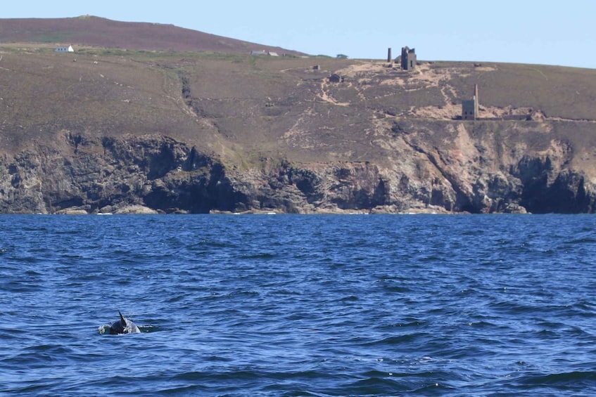 Picture 5 for Activity The North Coast Boat Trip Experience