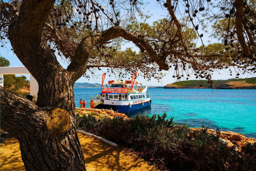 Picture 2 for Activity Ibiza: Beach Hopping Cruise w/ Paddleboard, Food, & Drinks