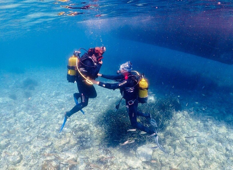 Picture 7 for Activity Kusadasi: Diving Experience with Lunch and Transfer