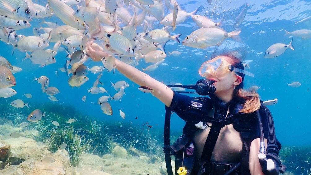 Picture 2 for Activity Kusadasi: Diving Experience with Lunch and Transfer