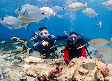 Kusadasi: Experiencia de buceo con almuerzo y traslado