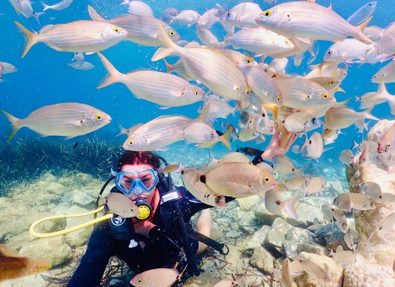 Picture 5 for Activity Kusadasi: Diving Experience with Lunch and Transfer