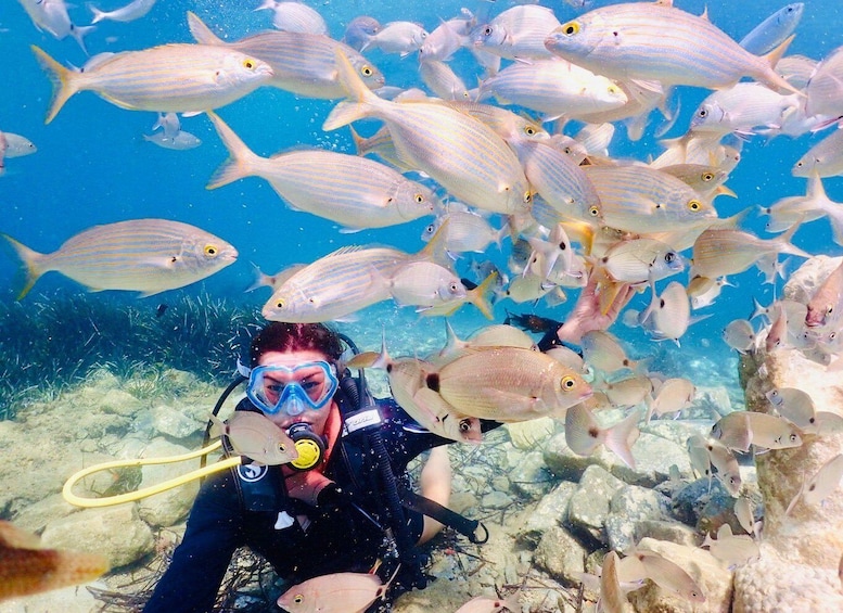 Picture 5 for Activity Kusadasi: Diving Experience with Lunch and Transfer