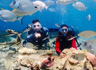 Kusadasi: Duikervaring met lunch en transfer