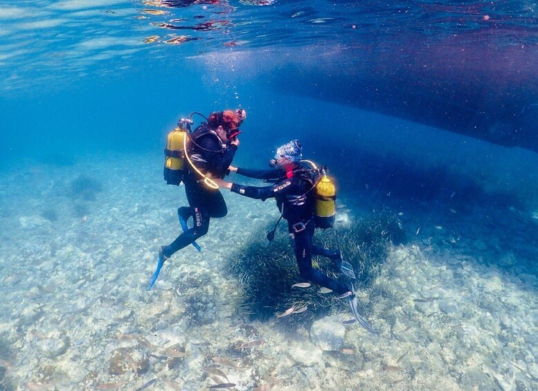 Picture 7 for Activity Kusadasi: Diving Experience with Lunch and Transfer