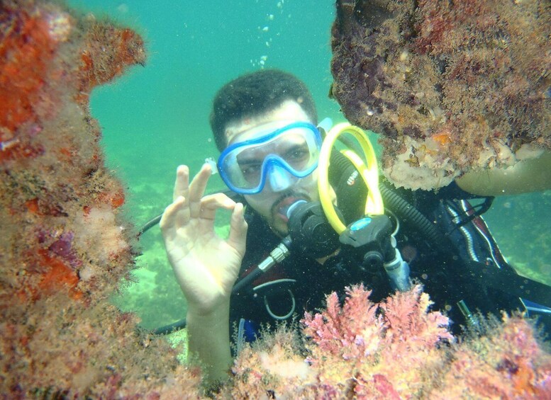 Picture 4 for Activity Djerba: Introductory Scuba Diving Session