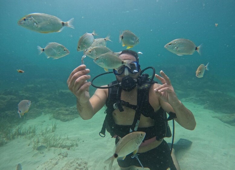 Picture 1 for Activity Djerba: Introductory Scuba Diving Session