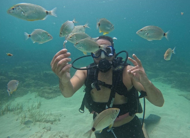 Picture 1 for Activity Djerba: Introductory Scuba Diving Session