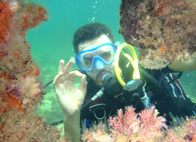 Picture 2 for Activity Djerba: Introductory Scuba Diving Session