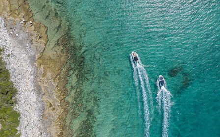 Rovinj or Vrsar: Rovinj Islands and Lim Fjord Speedboat Tour