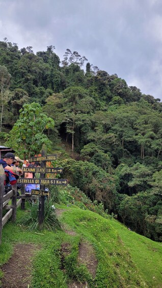 Picture 8 for Activity Cocora Valley: Birding-hiking with breakfast & lunch