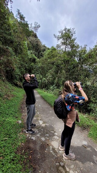 Picture 4 for Activity Cocora Valley: Birding-hiking with breakfast & lunch