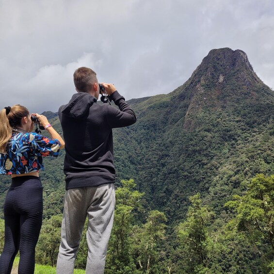 Picture 1 for Activity Cocora Valley: Birding-hiking with breakfast & lunch