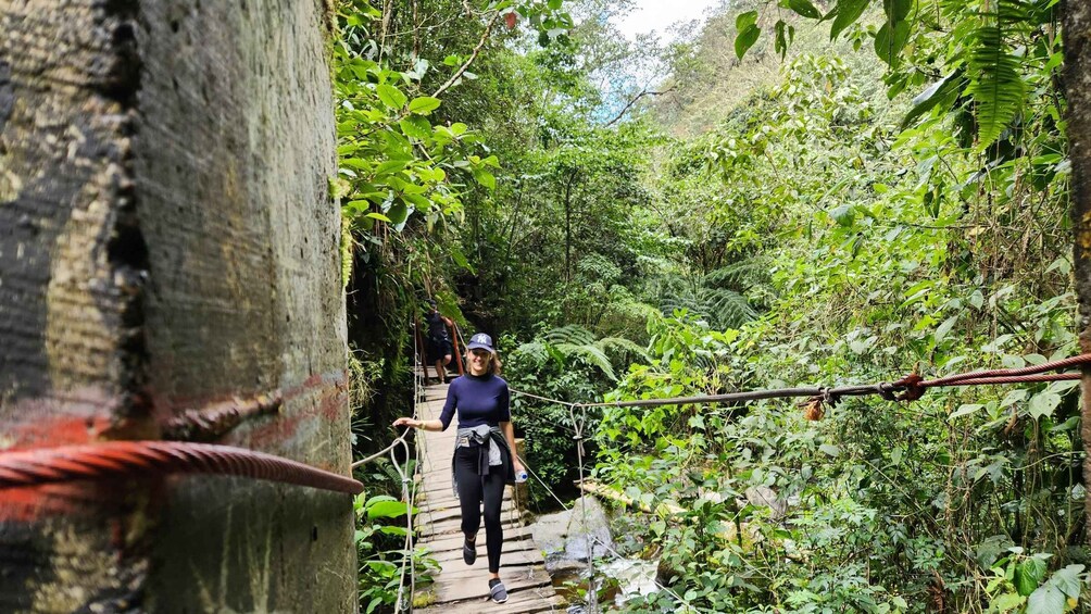 Picture 6 for Activity Cocora Valley: Route of the Hummingbirds + breakfast & lunch