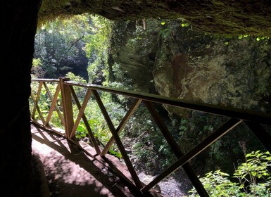 La Palma: Nordinsel-Bustour mit der Ron Aldea Distillery
