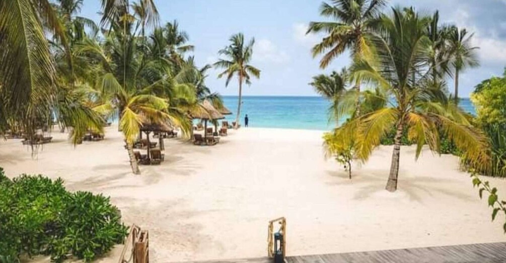 Picture 2 for Activity 5 Days / 4 Night Zanzibar Holiday