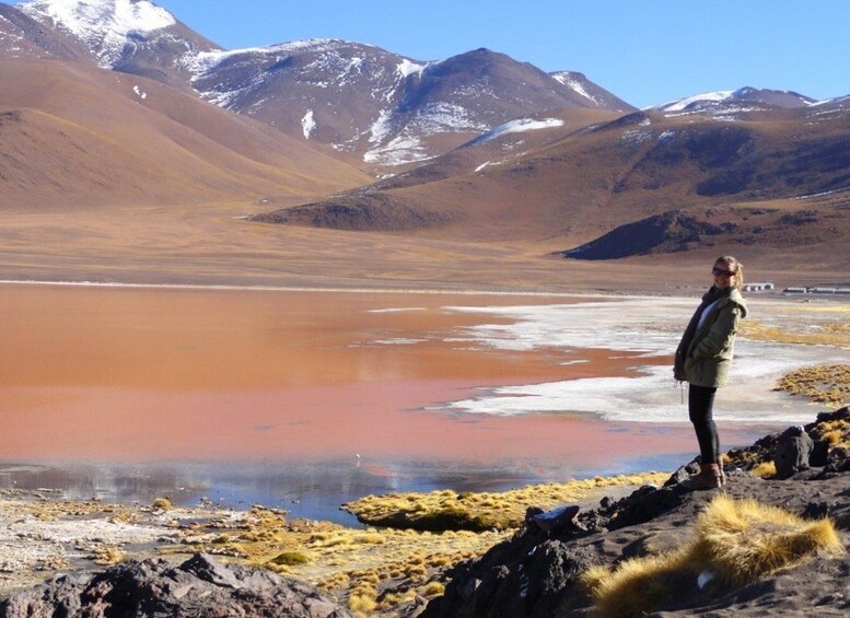 Picture 11 for Activity Uyuni Salt Flats and Red Lagoon 3-Days | English in Guide |