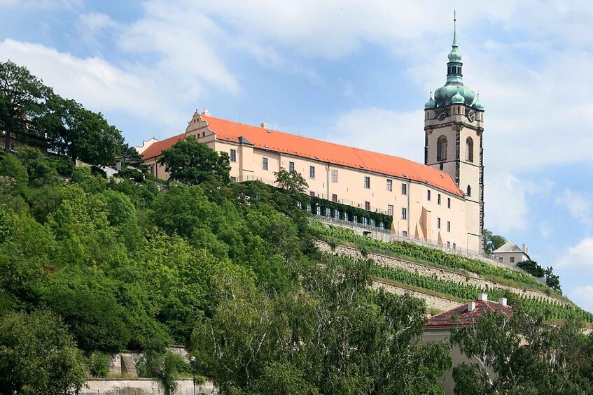 Picture 2 for Activity Prague: Melnik Chateau Day Trip with Wine Tasting