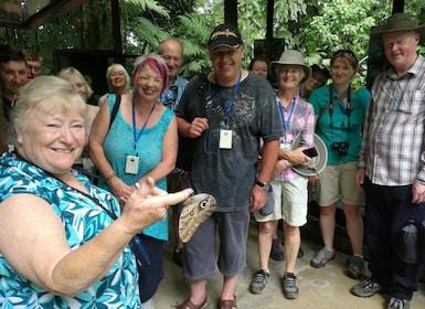 La Fortuna:Butterflies, birds, sloths and Trails Guided Tour