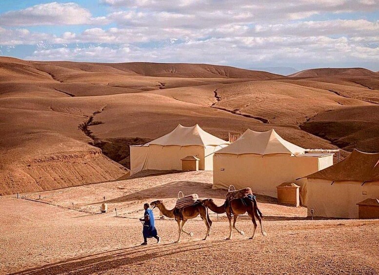 Picture 14 for Activity Marrakech: Agafay Desert, Camel Ride, and Berber Dinner