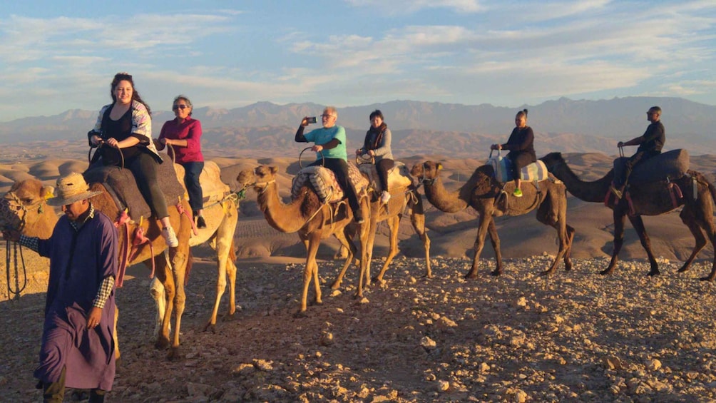 Picture 12 for Activity Marrakech: Agafay Desert, Camel Ride, and Berber Dinner