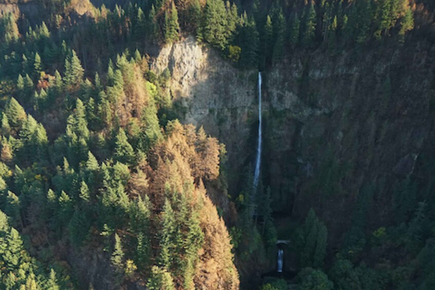 Picture 2 for Activity From Troutdale: Waterfalls Gorge Helicopter Tour
