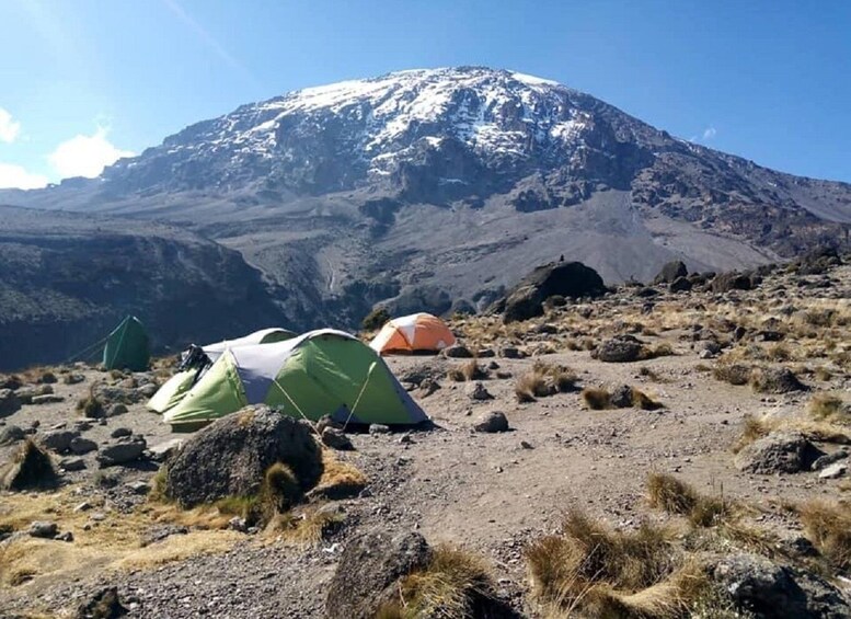 Picture 2 for Activity 7 Day Kilimanjaro Climb Lemosho Route