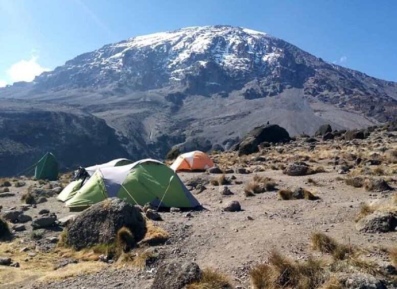 Picture 2 for Activity 7 Day Kilimanjaro Climb Lemosho Route