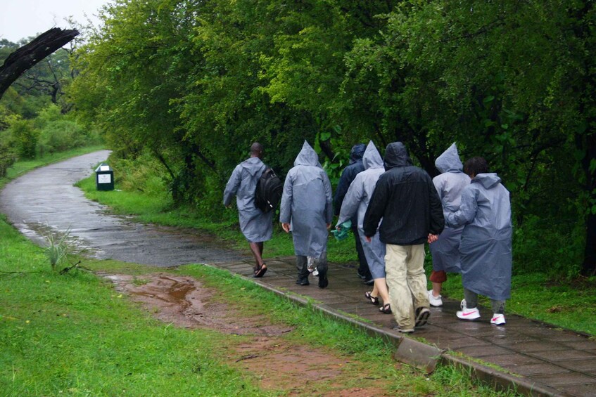 Picture 13 for Activity Victoria Falls: Group Tour of the mighty Falls