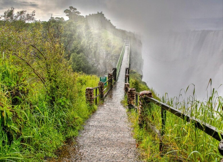 Picture 4 for Activity Victoria Falls: Group Tour of the mighty Falls