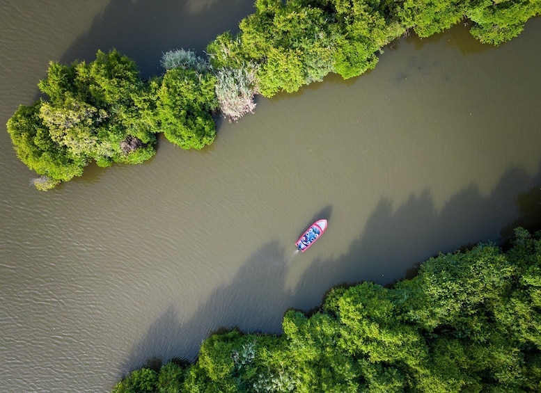 Picture 5 for Activity Sunrise Kayaking on the Negombo Lagoon