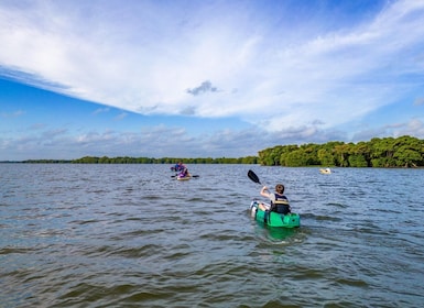 Sunrise Kayaking on the Negombo Lagoon