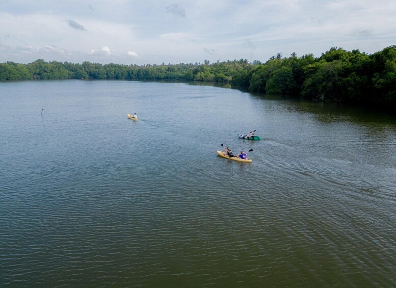 Picture 1 for Activity Sunrise Kayaking on the Negombo Lagoon
