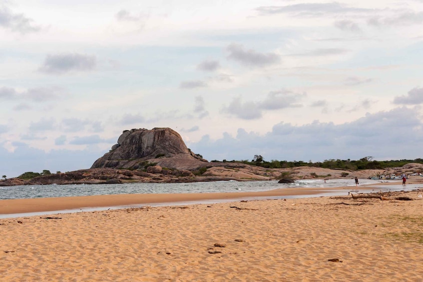 Picture 3 for Activity Yala National Park: Morning or Afternoon Golden Hour Safari