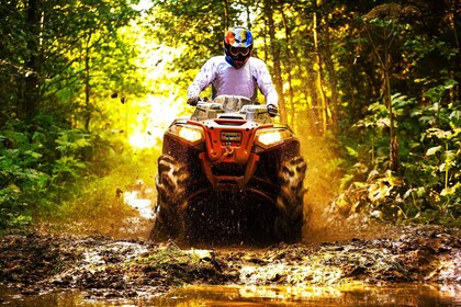 From Ocho Rios: Yaaman Adventure Park quad bike Tour with Lunch