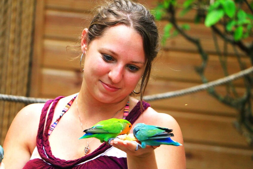 Picture 3 for Activity From Ocho Rios: Yaaman Adventure Park ATV Tour with Lunch