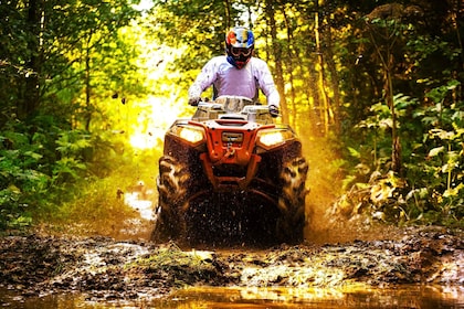 From Ocho Rios: Yaaman Adventure Park quad bike Tour with Lunch